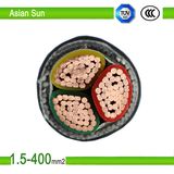 XLPE Insulated PVC Sheathed Power Cable Yjv4*70mm2+1*35mm2