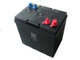 AGM Battery, 6/8V Cart Battery