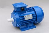 High Quality 220V Y2 Series Induction Motor