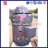Vhs254tp-4-015s Small Three Phase Induction Motor