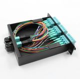MPO/MTP Cassette with Jumpers and Adapters