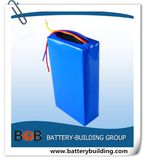 48V Shrink Lithium Battery Pack for E-Bike