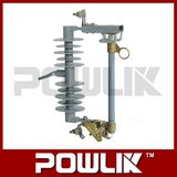 High Quality 24/27kv Polymer Fuse Cutout