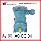 Explosion Proof Asynchronous Induction Motor for Crane