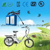 Deep Cycle 48V 50ah LiFePO4 Battery Packs for Telecom Communication