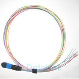 MPO Pigtails with 12 Colors