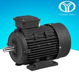 Permanent Magnet AC Synchronous Motor (5.5kw, 4kw, 380V-50Hz)