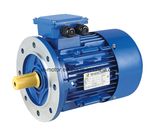 Ce Approved Single Phase Induction Motor (YC YCL YL YY MY ML MC JY)
