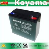 6-Dzm-20 12V 20ah E-Bike Battery