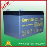 12V14ah Deep Cycle AGM Battery for Utility Vehicle