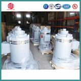 NEMA Standard Deep Well Vertical Hollow Shaft Vhs Motor