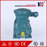AC Ex-Proof Motor with High Power for Crane
