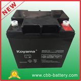 12V 24ah Lead Acid AGM Battery for UPS/Surge Protector
