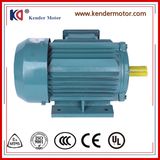 Three Phase Electric Induction AC Electric (Electrical) Motor