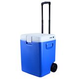 30-Liter Mini Portable Fridge Roller Cooler (CW-30L)