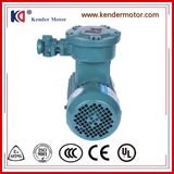 Aluminum Explosion-Proof Asynchronous Motor with High Speed