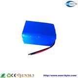 Green Power Lithium Ion Battery Pack for E-Wheechair