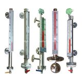 Magnetic Level Gauge with Transmitter