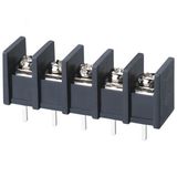 Wanjie PCB Barrier Terminal Block (WJ55S-10.0mm)