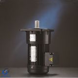 Gear Motor Ce Brake Motor Vertical Small AC Motor_C