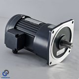 High Ratio Light Duty Brake 3-Phase AC Motor_D