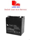 Standard Series 12V Lead Acid Battery for UPS System