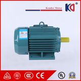 The Ideal Energy-Efficient Asynchronous AC Electric (Electrical) Motor
