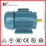 Y2 Series Electric Induction AC Motor with Factory Price