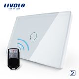 Remote Control Switch Touch Glass Panel Wall Light Switch (VL-C301R-81/82)