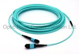 12f 3.6mm Round Cable MPO-MPO Patchcord Jumper Optical Fiber Connector Sm mm