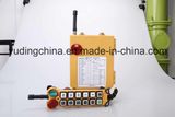 Industtrial Wireless Radio Remote Controls F24-12D