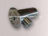 China Manufacture Customize Design 220V AC Electric Motor