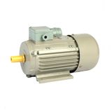 Y2 132s1-2 Series Three Phase High Efficiency Induction AC Motor