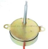Christmas Lighting Motor (TYZ)