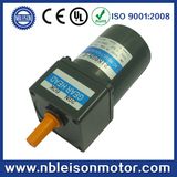 60mm 6W 110V 220V AC Gear Motor