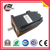 DC Electrical Step Motor for Electronic Equipment
