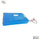 Customized 24V 18ah Back up Power Battery Lithium Ion Battery