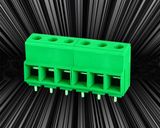 Screw Terminal Block with Dual Row Pins