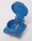 Schuko Socket