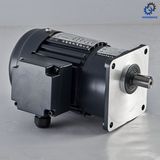 220V/380V High Ratio AC Geared Motor_D