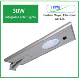 Factory Price All in One Integrated LED Solar Street Lamp 30W