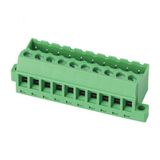 New Style Plug-in Terminal Block with DIN Rail (WJ2EDGGB-5.08mm)