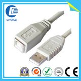USB Cable (CH40110)