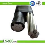 Duplex 1/0 2/0 4/0 XLPE Insulated ABC Cable