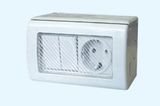 New Top Quality Waterproof Wall Switch Socket IP55 (DT-2GSSR)