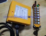 Yuding Mobile & Crawler Cranes Remote Control (F21-14S)