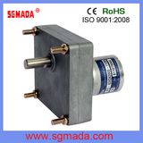 12V/24V DC Gear Micro Motor for Industry