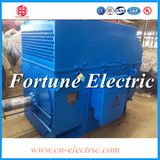 High Tension Electric AC Machine Motor