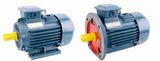 Ce Approved High Efficiency AC Inducion Motor 1.5kw-4