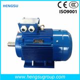 Ye3 0.18kw Three-Phase Cast Iron Induction Electric Motor